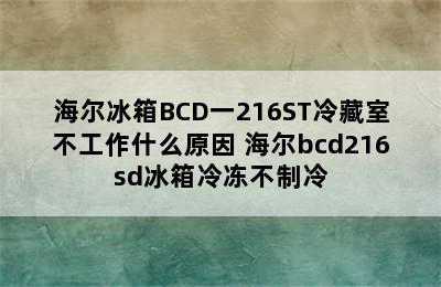 海尔冰箱BCD一216ST冷藏室不工作什么原因 海尔bcd216sd冰箱冷冻不制冷